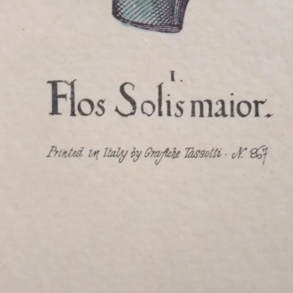 Flos Solismaior, Sunflower Floral Print